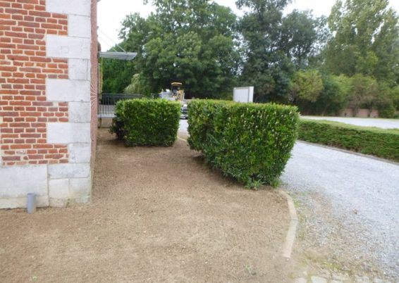 Enlèvement de plantations et semis de pelouse dans l'espace réception au château de Limont.

la s...