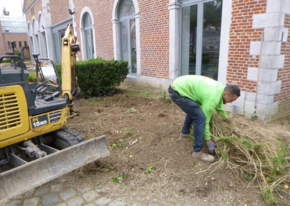 Enlèvement de plantations et semis de pelouse dans l'espace réception au château de Limont.

la s...