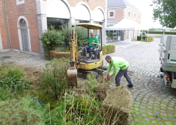 Enlèvement de plantations et semis de pelouse dans l'espace réception au château de Limont.

la s...