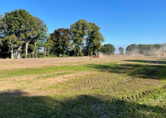 Création d’une nouvelle pelouse en vue de l’implantation d’un verger au château de Waroux à...