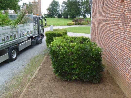 Enlèvement de plantations et semis de pelouse dans l'espace réception au château de Limont.

la s...