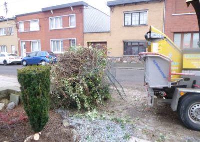 Remplacement de haies et clôtures par une nouvelle clôture NYLOFORT 2 D et un empierrement décora...