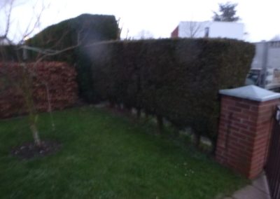 Remplacement d'une petite haie par une clôture décorative en gabion ZENTURO de BETAFENCE....