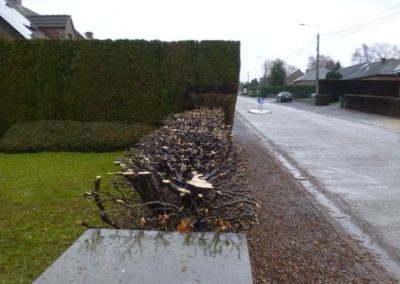 Aménagement d'une petite devanture à Horion-Hozémont.

Changement des plantations pour une entret...