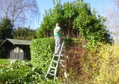 Petits travaux de tailles et de suppression d'un chemin dans un jardin à Boncelles. 

Albert notre ...