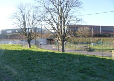 Travaux d'abattage d'arbre morts pour la société A.I.D.E. fraisage des souches pour une nouvelle p...