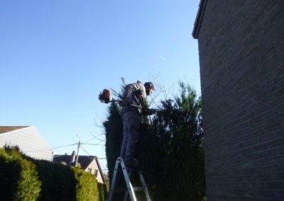 Petits travaux de tailles et de suppression d'un chemin dans un jardin à Boncelles. 

Albert notre ...