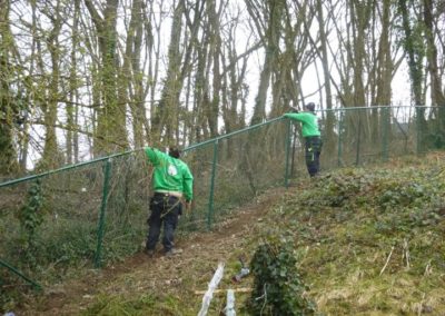 Plantation des abords d'une maison à Esneux....