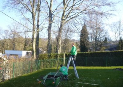 Plantation des abords d'une maison à Esneux....