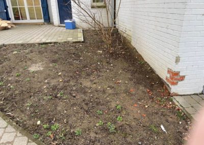 Plantation des abords d'une maison à Esneux....