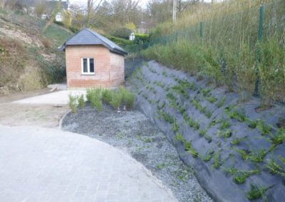 Plantation des abords d'une maison à Esneux....