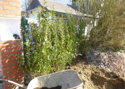 Plantation des abords d'une maison à Esneux....