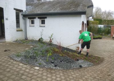 Plantation des abords d'une maison à Esneux....