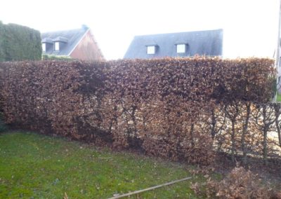 Aménagement d'une petite devanture à Horion-Hozémont.

Changement des plantations pour une entret...