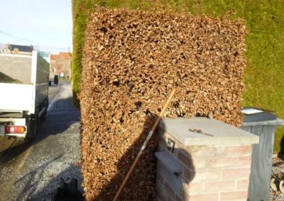 Aménagement d'une petite devanture à Horion-Hozémont.

Changement des plantations pour une entret...