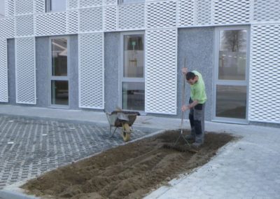 Création des pelouses autour de la nouvelle poste de Andenne .

Les semis sont très précoces, au ...