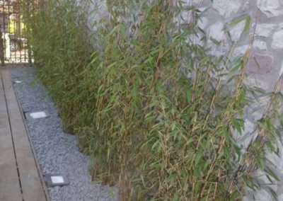 Modernisation de la terrasse du Bocalino à Chokier.

Remplacement des plantations par des plantes a...