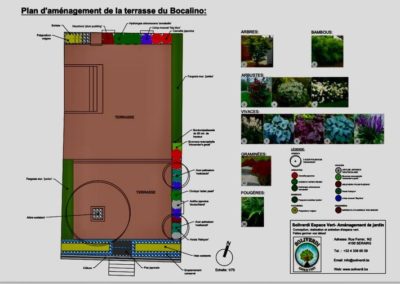 Modernisation de la terrasse du Bocalino à Chokier.

Remplacement des plantations par des plantes a...