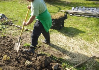 Petits aménagements divers dans un jardin à Beaufayx.

Réalisation d'une plantation de graminées...