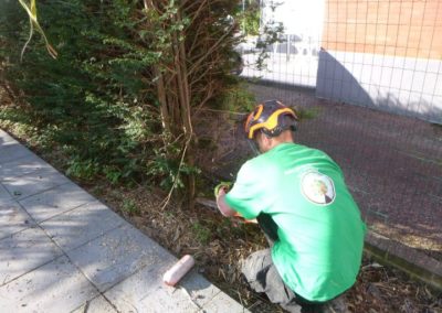 hop hop hop, encore un petit chantier qui ce termine avec succès.

Remplacement d'une haie pour une...