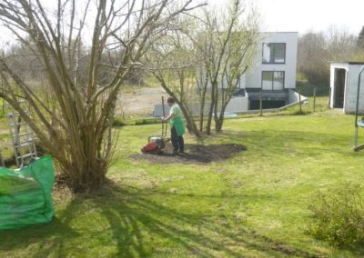 Petits aménagements divers dans un jardin à Beaufayx.

Réalisation d'une plantation de graminées...