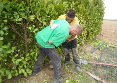 Nouvel construction à Waremme.

Création d'un jardin.

Placement de clôtures rigides et portail d...