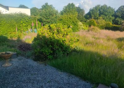 Remise à niveau d'un jardin oublié pendant quelques semaines....