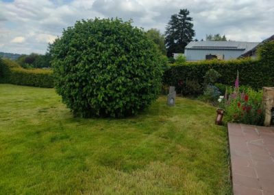 Remise à niveau d'un jardin oublié pendant quelques semaines....