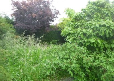 Il y a plus de 20 années nous avions crée ce magnifique jardin qui a été oublié pendant plus de...