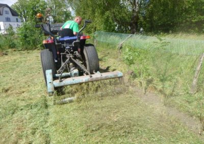 Entretien de terrain laissé en friche.

Fauchage et nettoyage de la haie périphérique....
