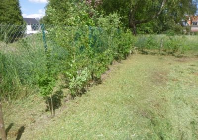 Entretien de terrain laissé en friche.

Fauchage et nettoyage de la haie périphérique....
