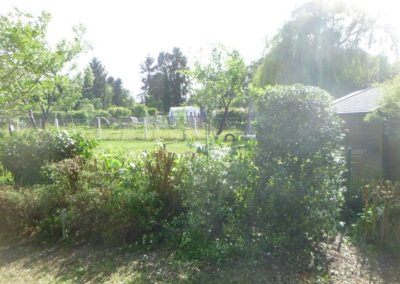 Il y a plus de 20 années nous avions crée ce magnifique jardin qui a été oublié pendant plus de...