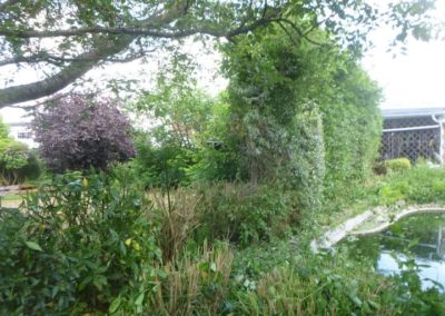 Il y a plus de 20 années nous avions crée ce magnifique jardin qui a été oublié pendant plus de...