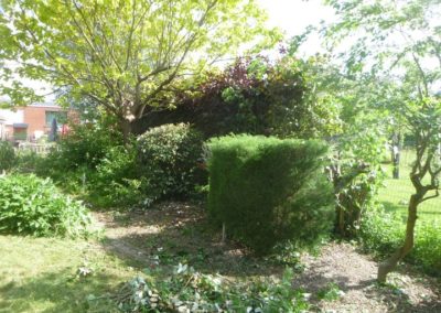Il y a plus de 20 années nous avions crée ce magnifique jardin qui a été oublié pendant plus de...