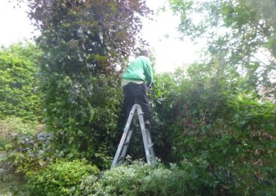 Il y a plus de 20 années nous avions crée ce magnifique jardin qui a été oublié pendant plus de...