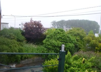 Il y a plus de 20 années nous avions crée ce magnifique jardin qui a été oublié pendant plus de...