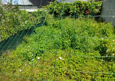 Nous réalisons également les aménagements de jardin de très petites tailles avec un accès très...