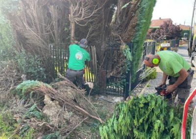 Enlèvement d'une haie de conifères malade par une clôture BETAFENCE NYLOFORT 3 D de teinte anthra...