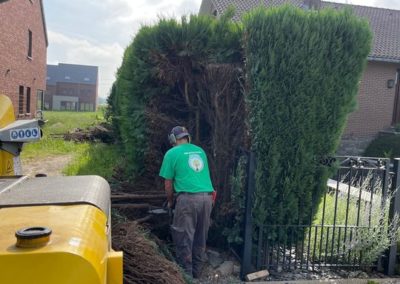 Enlèvement d'une haie de conifères malade par une clôture BETAFENCE NYLOFORT 3 D de teinte anthra...