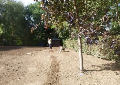 Réalisation d'une pelouse à Neupré.

Nous aurons subit des conditions climatiques extrêmes pour ...