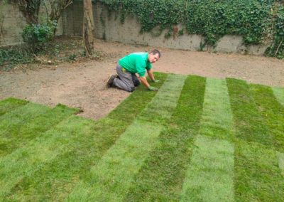 Rénovation d'un jardin à Angleur. Enlèvement des arbres morts et malade en vue d'une prochaine r...