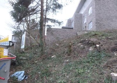 Nettoyage des abords d'une promotion immobilière en vue de pouvoir poursuivre les aménagements ext...
