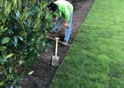 C’est la pleine saison des plantations au jardin. 
C’est le moment pour toutes les plantations d...