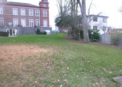 Abattage d'un arbre remarquable qui a été victime des sècheresses répétées de ces dernières a...