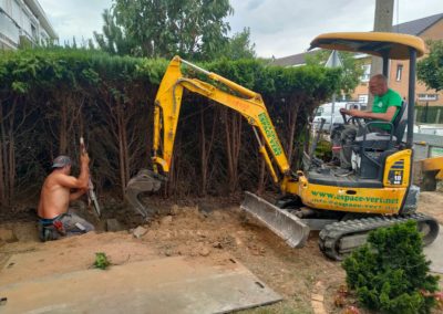 Rénovation complète d'un jardin.

- Remplacement des haies de conifères par palissades en béton ...