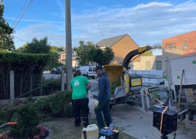 Rénovation complète d'un jardin.

- Remplacement des haies de conifères par palissades en béton ...