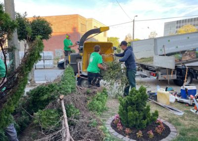 Rénovation complète d'un jardin.

- Remplacement des haies de conifères par palissades en béton ...