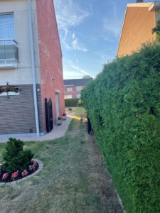 Rénovation complète d'un jardin.

- Remplacement des haies de conifères par palissades en béton ...