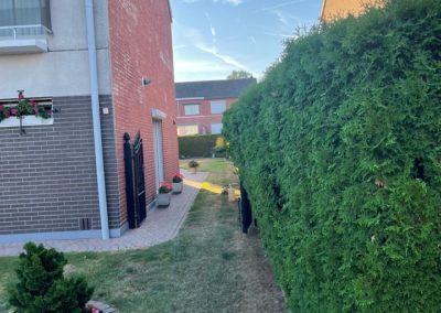 Rénovation complète d'un jardin.

- Remplacement des haies de conifères par palissades en béton ...