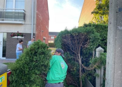 Rénovation complète d'un jardin.

- Remplacement des haies de conifères par palissades en béton ...